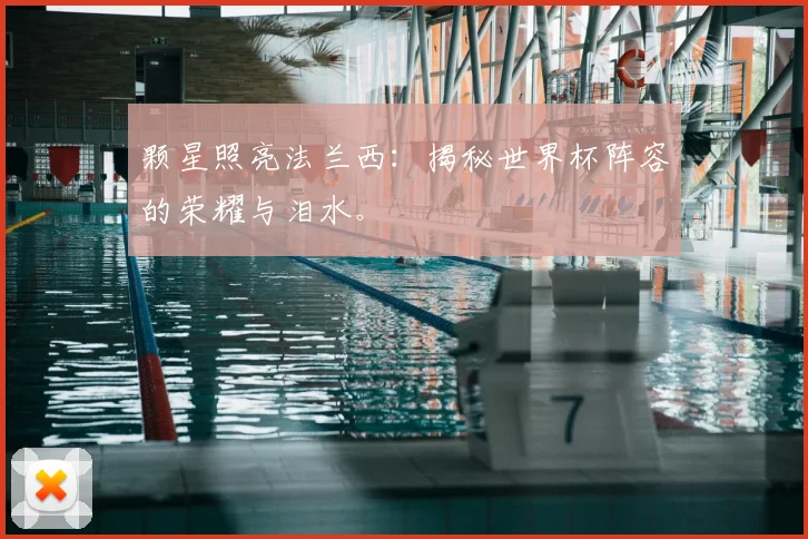 颗星照亮法兰西：揭秘世界杯阵容的荣耀与泪水。