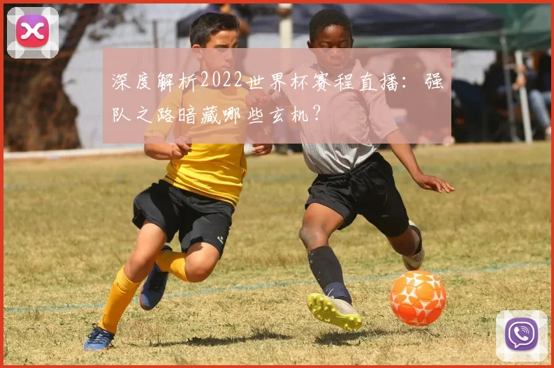 深度解析2022世界杯赛程直播:强队之路暗藏哪些玄机?