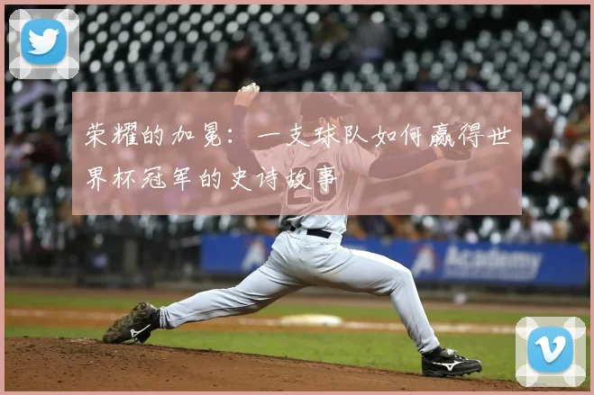 荣耀的加冕:一支球队如何赢得世界杯冠军的史诗故事