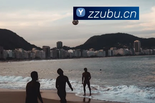 App Interface Preview